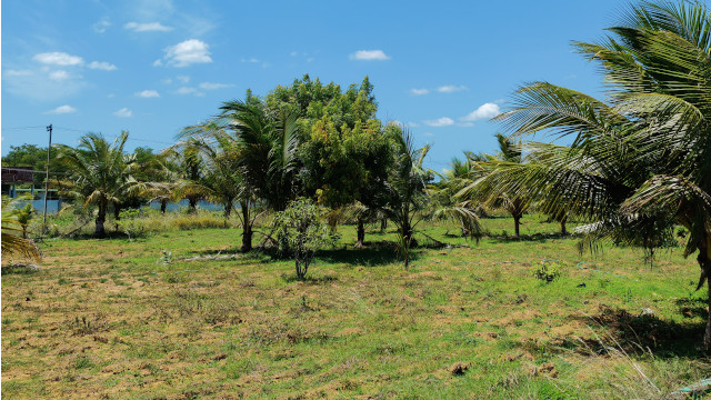 dtcp-approved-farm-plot-chennai