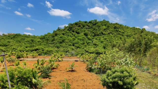 dtcp-approved-farm-plot-chennai