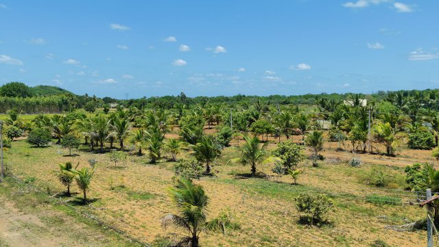 dtcp-approved-farm-plot-chennai