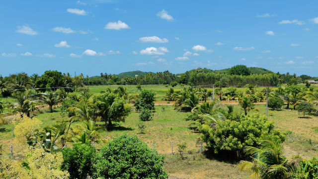 dtcp-approved-farm-plot-chennai