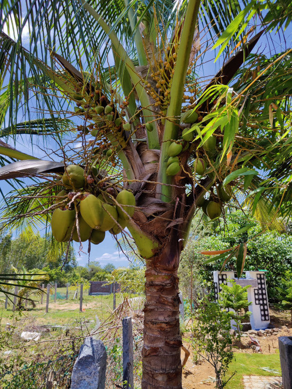 gal-dtcp-farm-plots-kanchipuram-2