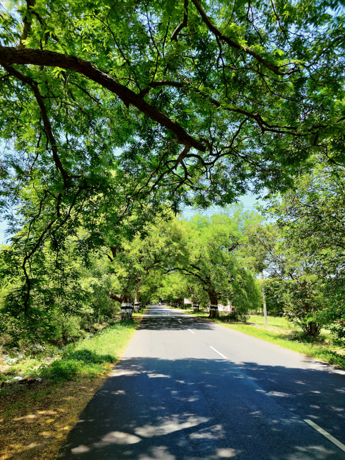 gal-dtcp-farm-plots-kanchipuram-3