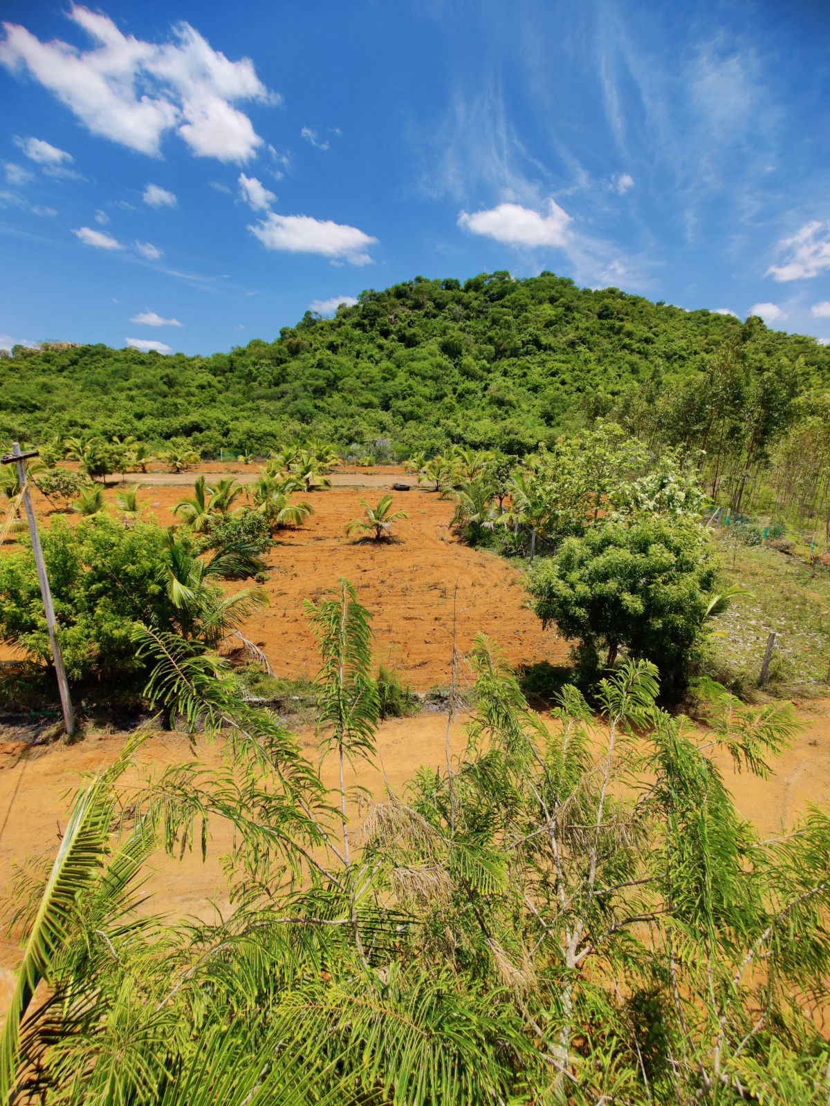 gal-dtcp-farm-plots-maduranthakam-1