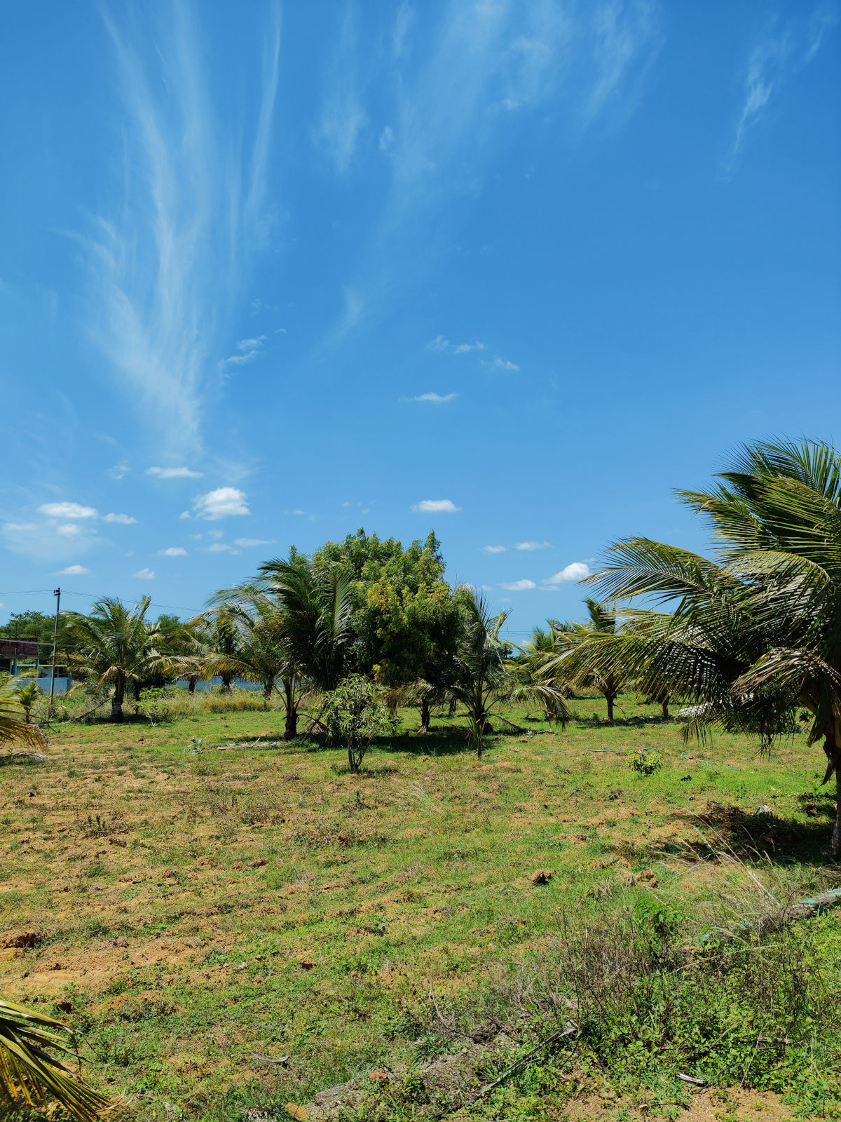gal-dtcp-farm-plots-maduranthakam-3